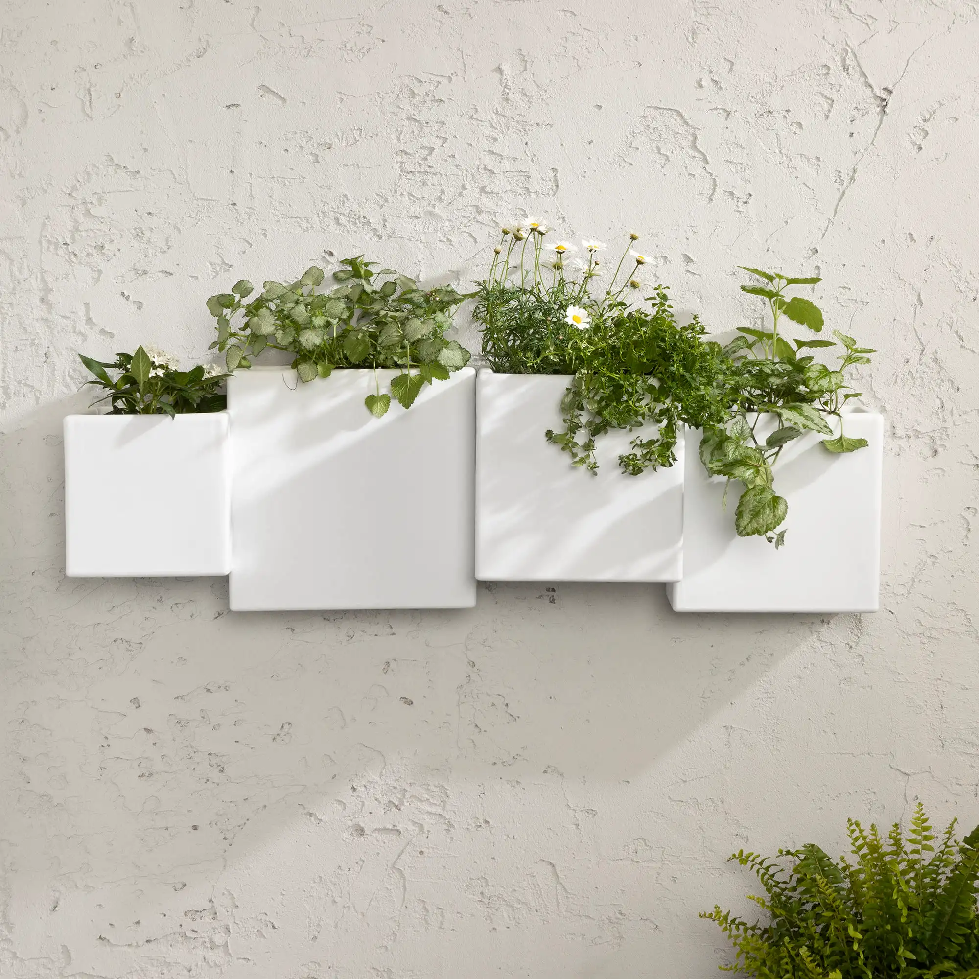 Outdoor Wall Planter - Set Of 2 - Meubles RD